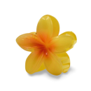 Jawa Hair Clip Flower Style Mix Color