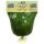 Congo Fresh Pondu Cassave Leaf / Saka Saka 500g