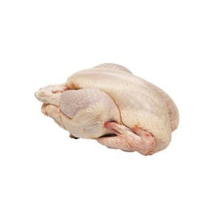 Strong Chicken 1 Piece