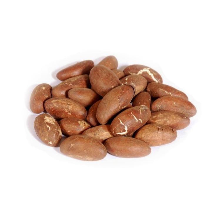 Bitter Cola Nuts 1 pcs.