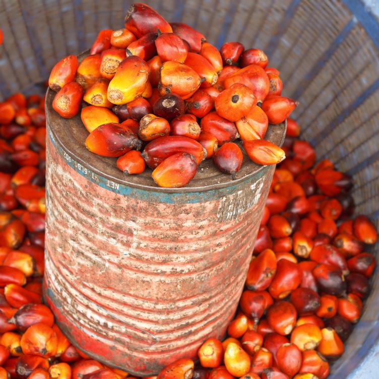 Öl & Erdnuss Produkte