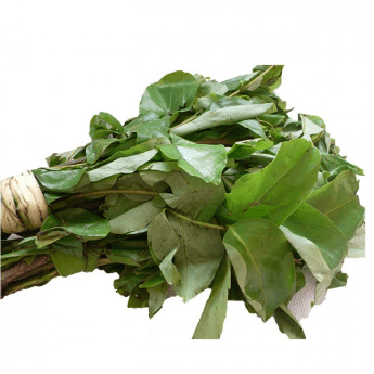 Oha Leaf frozen 500 g