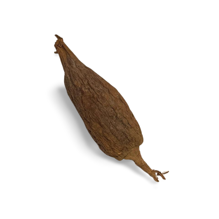 Osina Foods Alligator pepper 1 Pcs