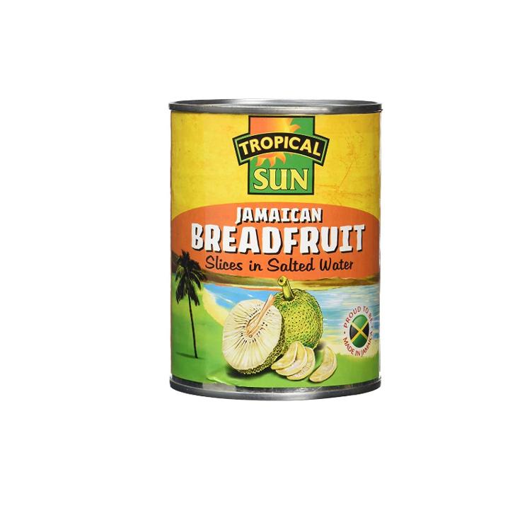 Tropical Sun Breadfruit 540 g